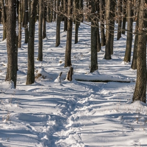 dwie-wieze-fot-ewajak13.jpg