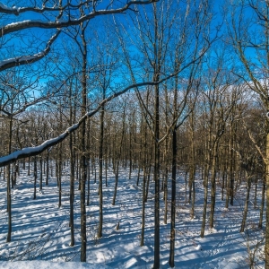 dwie-wieze-fot-ewajak22.jpg