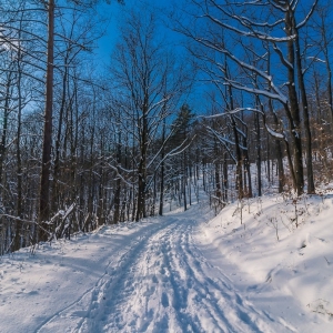 dwie-wieze-fot-ewajak34.jpg