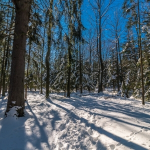 dwie-wieze-fot-ewajak38.jpg