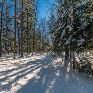dwie-wieze-fot-ewajak39.jpg