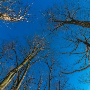 dwie-wieze-fot-ewajak42.jpg