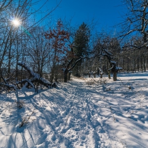 dwie-wieze-fot-ewajak43.jpg