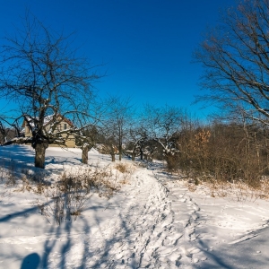 dwie-wieze-fot-ewajak49.jpg