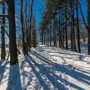 dwie-wieze-fot-ewajak50.jpg