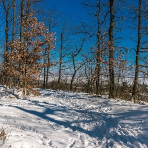 dwie-wieze-fot-ewajak53.jpg