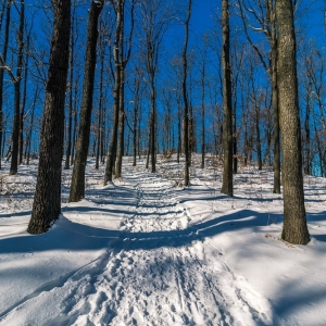 dwie-wieze-fot-ewajak56.jpg
