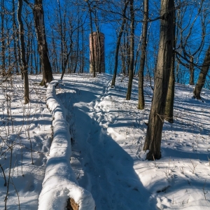 dwie-wieze-fot-ewajak74.jpg