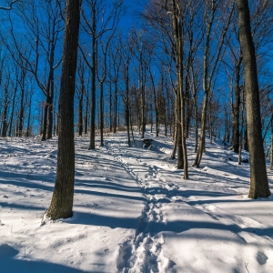 dwie-wieze-fot-ewajak75.jpg