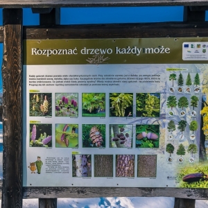 dwie-wieze-fot-ewajak78.jpg