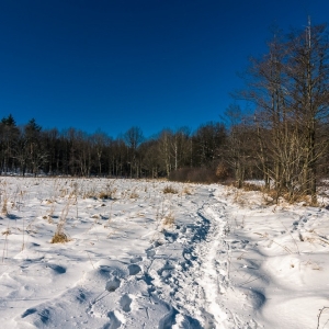 dwie-wieze-fot-ewajak80.jpg