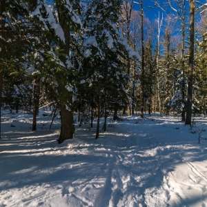 dwie-wieze-fot-ewajak83.jpg