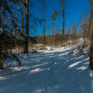 dwie-wieze-fot-ewajak84.jpg