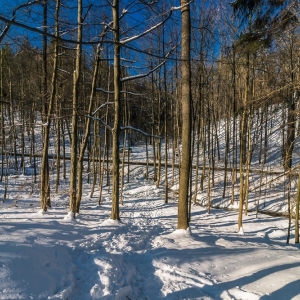 dwie-wieze-fot-ewajak87.jpg