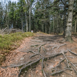 wieza-na-borowkowej-fot-ewajak08.jpg