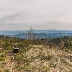 wieza-na-borowkowej-fot-ewajak09.jpg