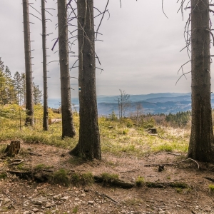 wieza-na-borowkowej-fot-ewajak10.jpg