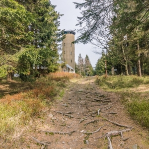 wieza-na-borowkowej-fot-ewajak44.jpg