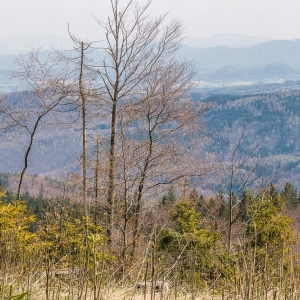 wieza-na-borowkowej-fot-ewajak47.jpg