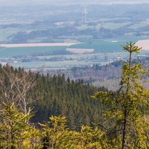 wieza-na-borowkowej-fot-ewajak48.jpg