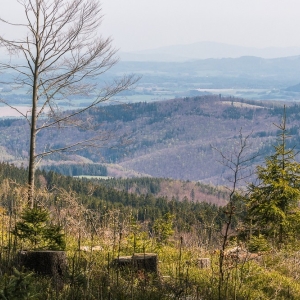 wieza-na-borowkowej-fot-ewajak49.jpg