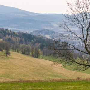 wieza-na-borowkowej-fot-ewajak58.jpg