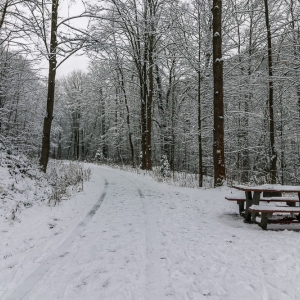 perla-zachodu-fot-ewajak34.jpg