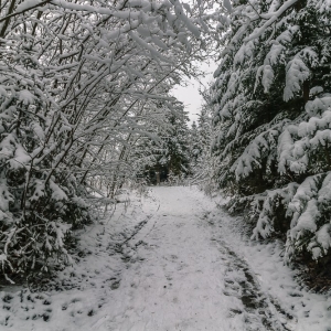 perla-zachodu-fot-ewajak63.jpg