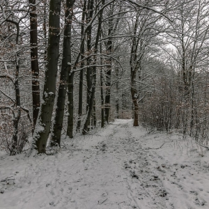 perla-zachodu-fot-ewajak71.jpg