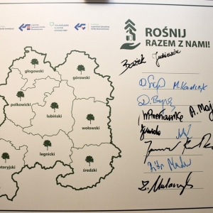 konfa-rosnij-razem-fot-ewajak105.jpg