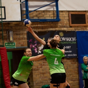 dziewiatka-jelenia-fot-jakub-wieczorek53.jpg