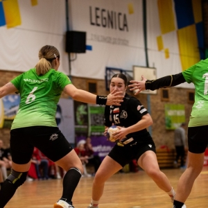 dziewiatka-jelenia-fot-jakub-wieczorek63.jpg