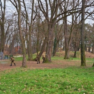 wilczy-bieg-lubin-fot-marzena-machniak04.jpg