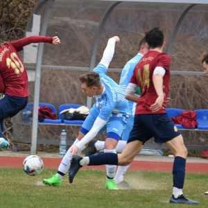 kochlice-chojnow-fot-ewajak061.jpg
