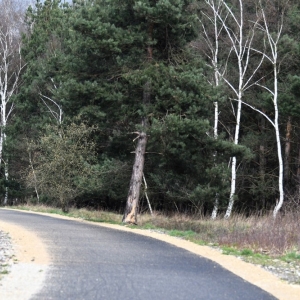 otwarcie-drogi-rowerowej-proch-fot-ewajak205.jpg
