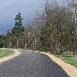 otwarcie-drogi-rowerowej-proch-fot-ewajak224.jpg
