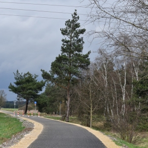 otwarcie-drogi-rowerowej-proch-fot-ewajak225.jpg