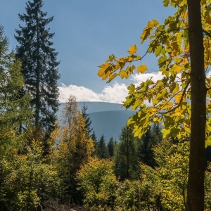wysoki-kamien-fot-ewajak13.jpg