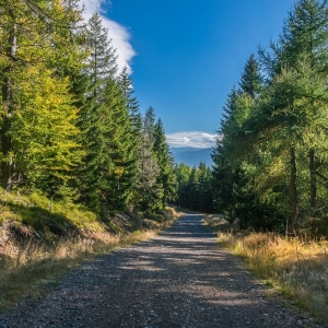 wysoki-kamien-fot-ewajak14.jpg