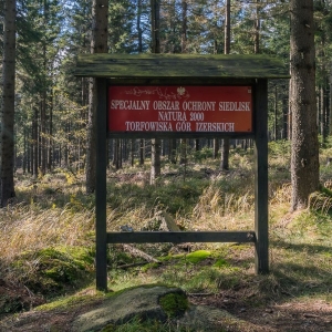 wysoki-kamien-fot-ewajak15.jpg
