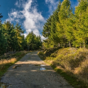 wysoki-kamien-fot-ewajak16.jpg