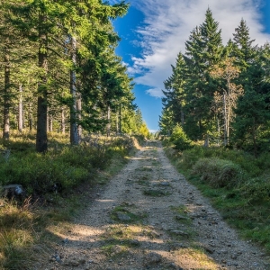 wysoki-kamien-fot-ewajak19.jpg