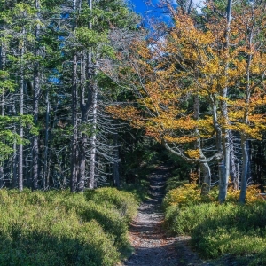 wysoki-kamien-fot-ewajak20.jpg