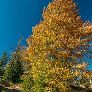 wysoki-kamien-fot-ewajak23.jpg