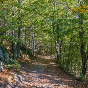 wysoki-kamien-fot-ewajak80.jpg