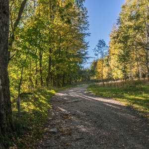wysoki-kamien-fot-ewajak87.jpg