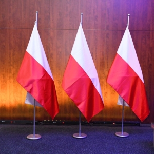 konwencja-lokaj-pis-fot-ewajak046.jpg