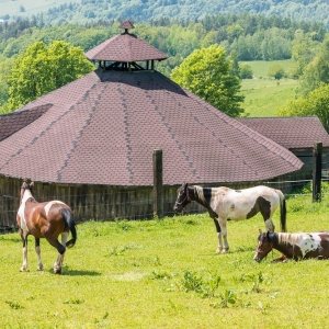 dwie-wieze-swietych-fot-ewajak02.jpg