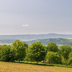 dwie-wieze-swietych-fot-ewajak06.jpg