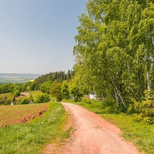 dwie-wieze-swietych-fot-ewajak32.jpg